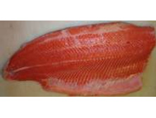 ������ (���� ; ����� �� ����, ���������, ������������, ��������� � ���������), 970 ��� ��.