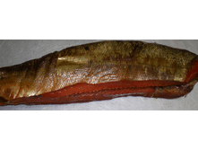 ������� (�����,  ���������, ��������� ��������), 430 ��� ��