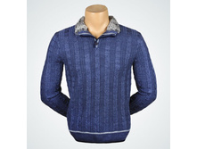 1191P �����