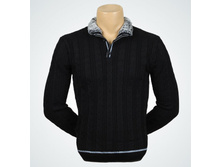 1191P ������