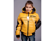 800 ���. �������� ����, ���������� 