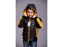 800 ���. �������� ����, ���������� 