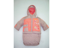 ������� ���������� ����������� 3 � 1