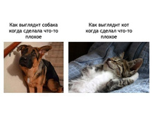 ��� �������� ������ � ��� ��������� ���-�� ������