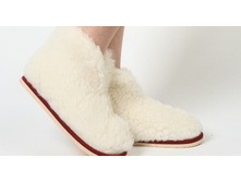 ���� ������.jpg