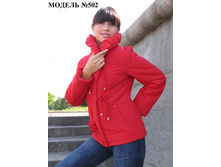 ������ 502.jpg