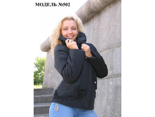 ������ 502.jpg