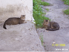 �������