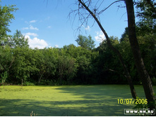 ����� ��� �������...