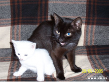 ������ � �����