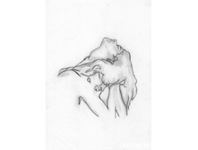 21.11.2007 12:50:39