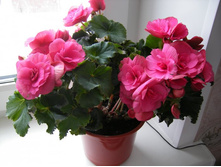 �������  �������.JPG