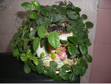 ����� ���������.JPG