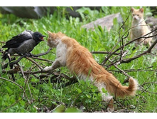 ���? ����� ���� ������� ...