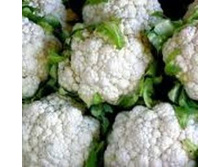 ������� ������� ������.jpg