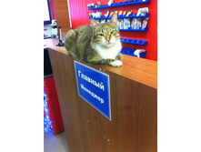 ������� ��������