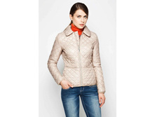 51400024 �������.jpg