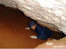 ������������ ������