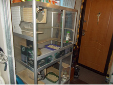 dscn5219.JPG