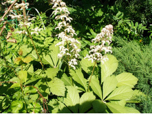 ��������� ��������������������*