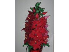 ����������