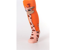 ������: 8�203 �������� �������  ������������ �����������