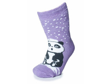 ������: 13�60 ����� ������� ����  ������ �����������