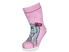 ������: 13�62 -�56 ����� ������� ������ �����������