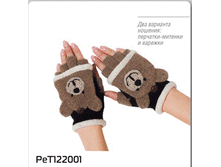 ������: 122001 ��� �������� �������. ����: 294.00 ���.