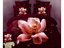 ����� �����.jpg