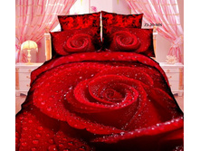 ����� ����������.jpg