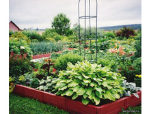 ��� ����������� ������� �����