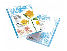 957003_Fleurs-en-Papier_3D-Boxes.jpg