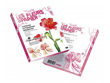 957004_Fleurs-en-Papier_3D-Boxes.jpg