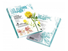 957005_Fleurs-en-Papier_3D-Boxes.jpg