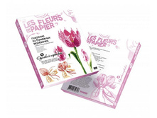 957008_Fleurs-en-Papier_3D-Boxes.jpg