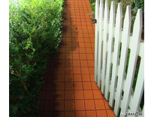 ������ ��� �������