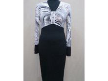 �-528 ���� 650