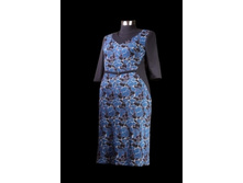 �-529 ���� 650