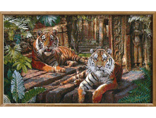 ��� ��������