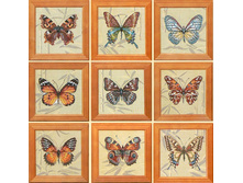 ��������� �������