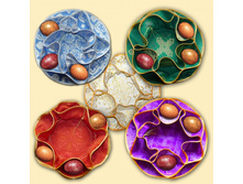 �������� ���������� ��� ������ ����������