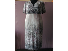 �-539 ���� 650