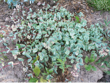 ������  ���� ������+24�