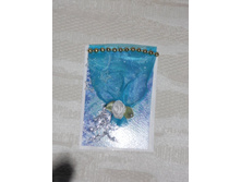 DSCN3968.JPG