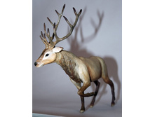 ����� 3.JPG