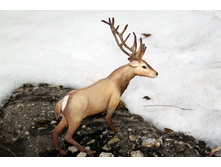 ����� 1.JPG