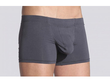 daitres_boxer_inside_elastic_long_gray_2min.JPG