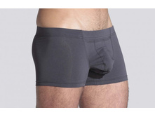 daitres_boxer_inside_elastic_short_gray_2min.JPG
