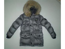 ELEG1     3344 ���